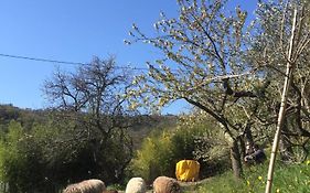 Studio Cotta, Salara Farmhouse